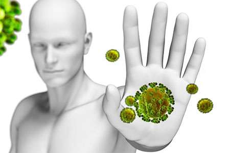 Поддержка иммунитета Поддержка иммунитета