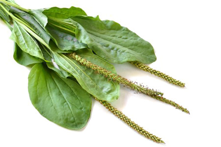 Научные исследования Научные исследования