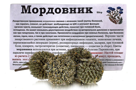 Показания к применению мордовника Показания к применению мордовника