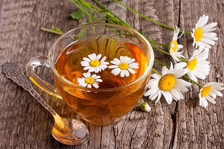 Чем полезна ромашка для женщин Чем полезна ромашка для женщин