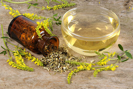 Полезные свойства донника Полезные свойства донника