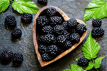 Ежевика в похудении Ежевика в похудении