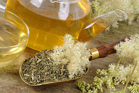 4 лечебных свойства лабазника 4 лечебных свойства лабазника