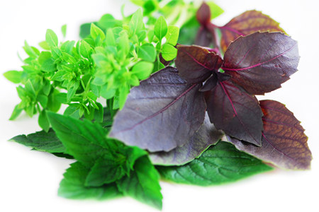 польза базилика польза базилика