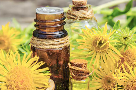 Польза для женщин Польза для женщин