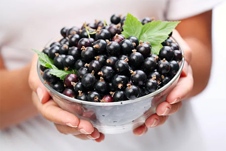 Польза смородины для женщин Польза смородины для женщин