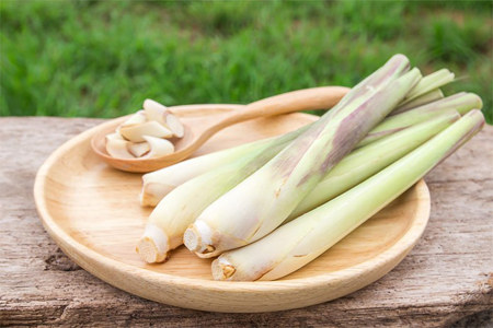 Польза лемонграсса для женщин Польза лемонграсса для женщин