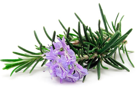 Положительно влияет на функции мозга Положительно влияет на функции мозга