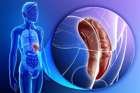 Поражение селезёнки Поражение селезёнки