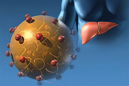 Последствия гепатита А Последствия гепатита А
