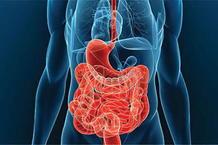 Причины атрофического Причины атрофического