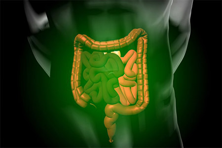 Причины возникновения Причины возникновения