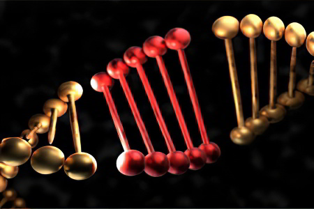Причины возникновения Причины возникновения