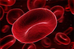 Причины тромбоцитопатии Причины тромбоцитопатии