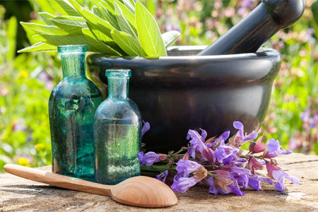 Применение астрагала Применение астрагала