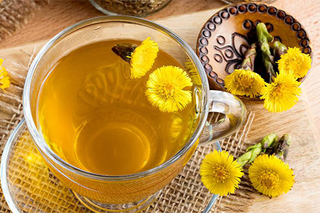 Применение мать-и-мачехи Применение мать-и-мачехи