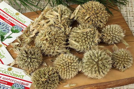 Рецепты применения мордовника Рецепты применения мордовника