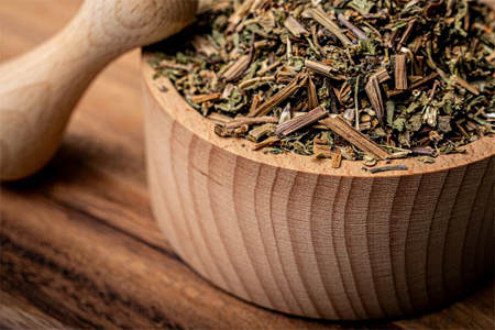 Применение яснотки Применение яснотки