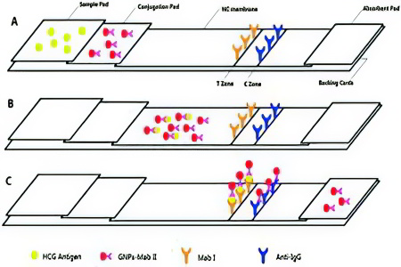 Принцип действия Принцип действия