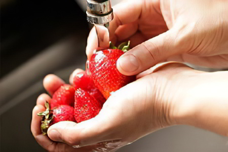 Профилактика печёночного сосальщика Профилактика печёночного сосальщика