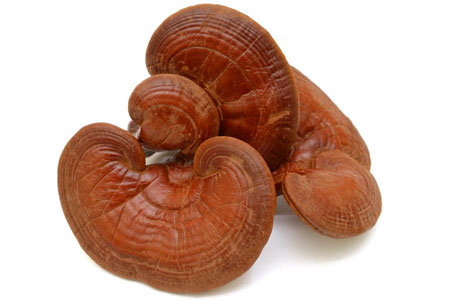 Противопоказания Противопоказания