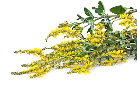 Противопоказания и побочные эффекты Противопоказания и побочные эффекты