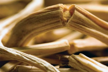 Противопоказания Противопоказания