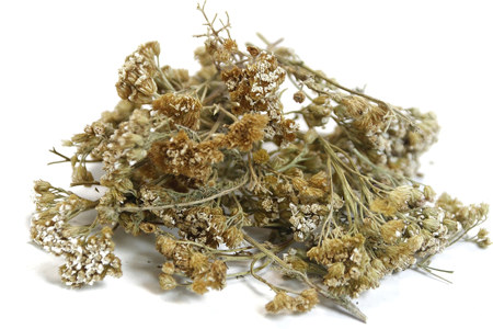 Возможный вред и противопоказания Возможный вред и противопоказания