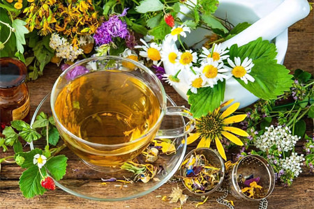 15 противовирусных лекарственных трав 15 противовирусных лекарственных трав