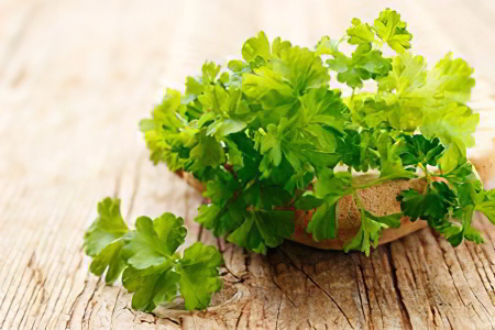 Растения Растения