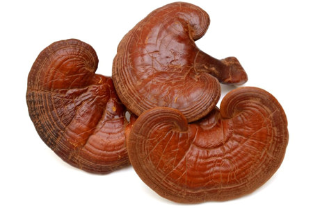 Рейши Рейши