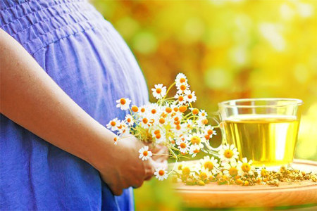 Можно ли пить ромашку при беременности Можно ли пить ромашку при беременности