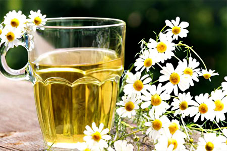 Чай из ромашки Чай из ромашки
