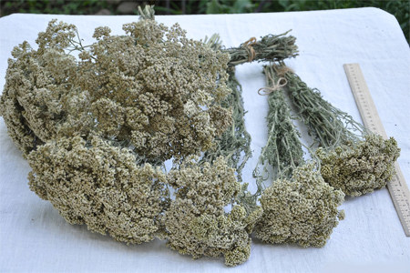 Сбор и хранение Сбор и хранение