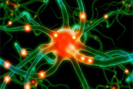 сцинтиграфия сцинтиграфия