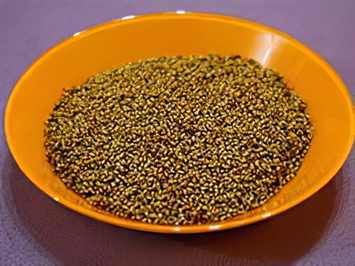 семена подорожника семена подорожника