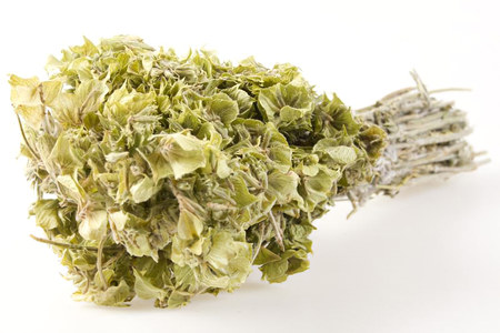 Шалфей Шалфей