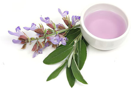 В народной медицине шалфей применяется В народной медицине шалфей применяется