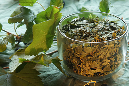 Чем полезны листья чёрной смородины Чем полезны листья чёрной смородины