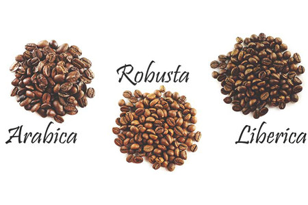 Сорта кофе Сорта кофе