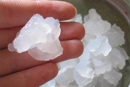 Состав рисового гриба Состав рисового гриба