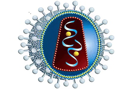 Свойства ВИЧ Свойства ВИЧ