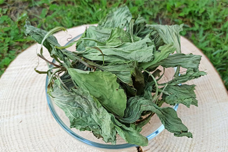 Применение сухих листьев зимой Применение сухих листьев зимой