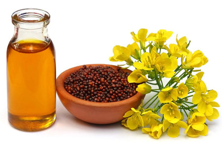 ТОП-11 полезных свойств ТОП-11 полезных свойств