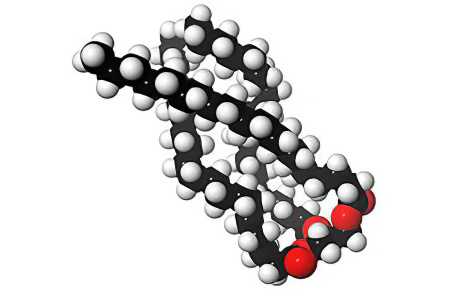 Триглицериды Триглицериды