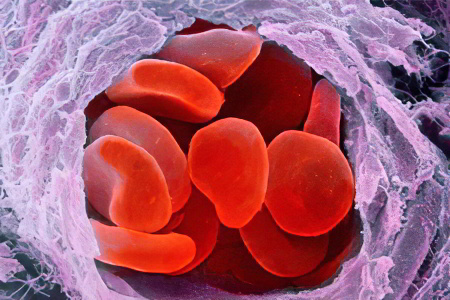 В чём отличительная особенность В чём отличительная особенность