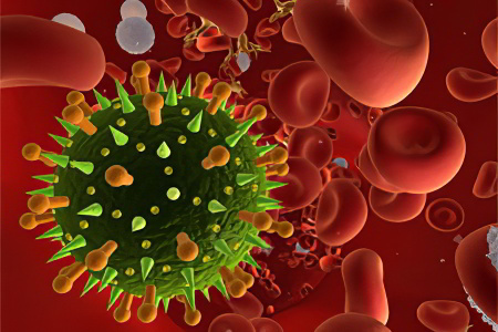 В чём отличие ВИЧ и СПИД В чём отличие ВИЧ и СПИД