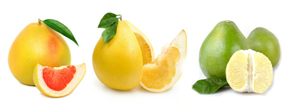 Разные виды помело Разные виды помело