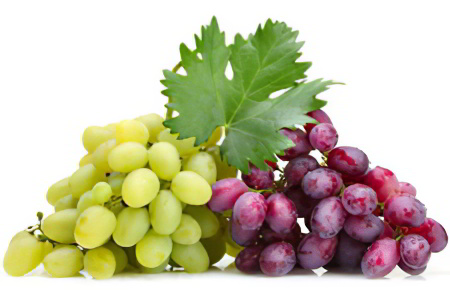 Виноград Виноград