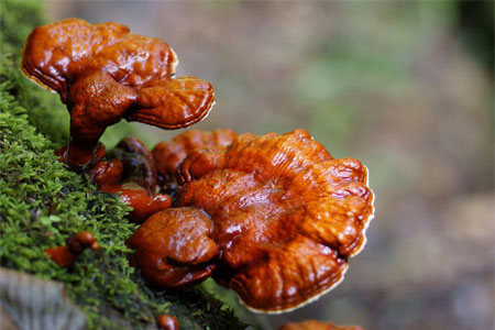 Вместо заключения Вместо заключения